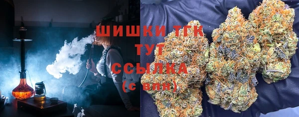 первитин Богородицк