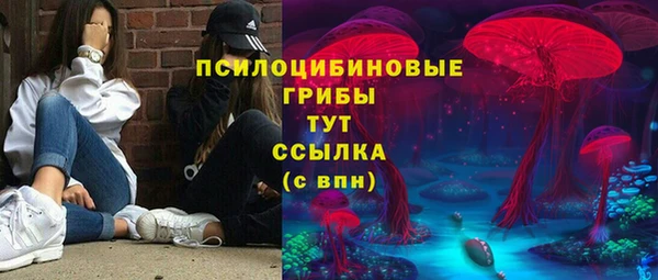 первитин Богородицк