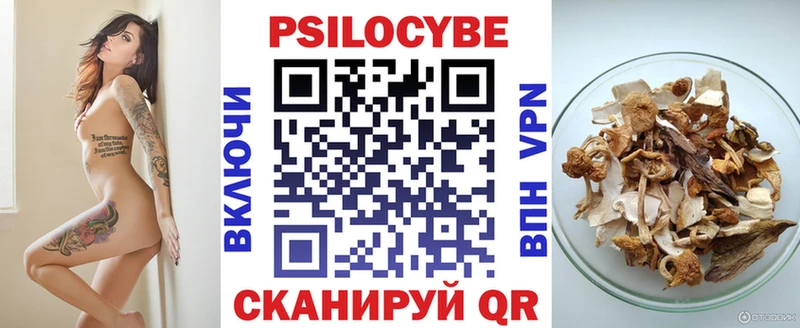 наркота  Кировград  Галлюциногенные грибы прущие грибы 